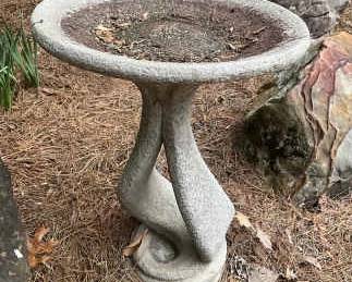 Bird Bath