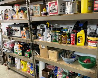 Lawn chemicals, paint, cleaning supplies, table saw. 