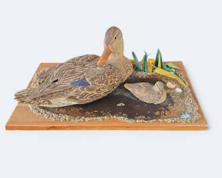 Mallard Hen Duck with a Duckling 