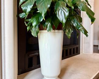 $58 Arhaus urn. Plant included :) 