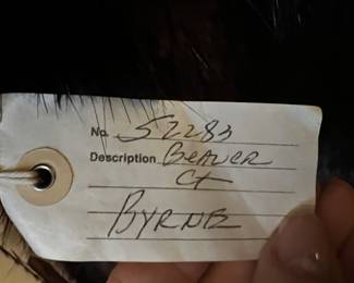 Beaver Fur coat Carson Pirie Scott