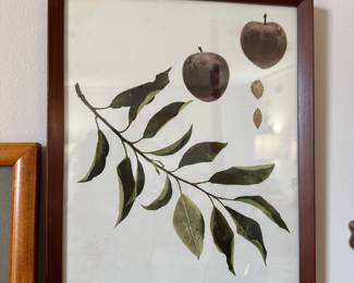 1900s U. P. Hedrick, Original Antique Photogravure of Climax Plums