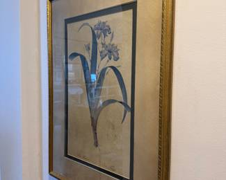 The Botanical Magazine or Flower Garden Displayed Collection