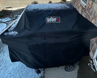 Weber Grill