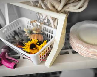 Plates, Daisys, Rack