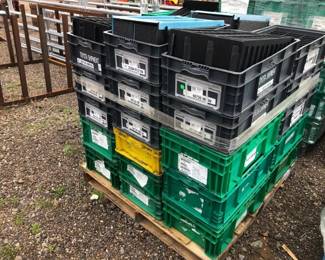 PALLET of PLASTIC TOTES