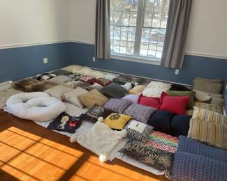 Pillows! Prices start at $5/pillow