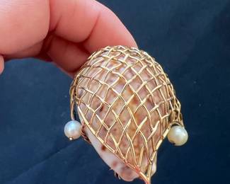 Incredible brooch