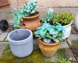 78 TerracottaCeramicOutdoorPots