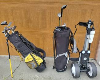 66 GolfClubsBagsGoldenBearCallawayOdysseyUltralightKids