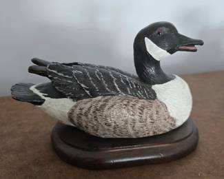small Canada goose