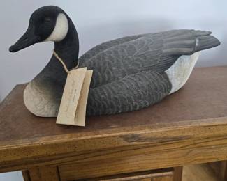large Canada goose