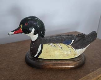 wood duck