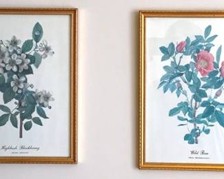 140 2 Framed Prints - 12.5" x 9.5"