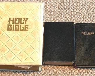 196 Lot of 3 Bibles