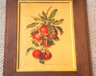 183 Framed Print - 21" x 17"