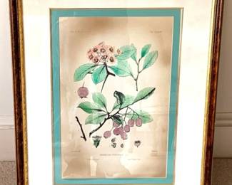 6 Framed Print - 26" x 20"