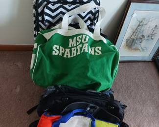 Michigan State Spartans tote plus other totes available