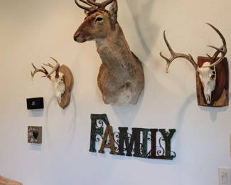 Animal mounts, side table, miscellaneous home items
