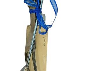 AE Lewis Co Sheffield Serving Set