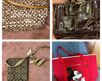 Coach & Disney