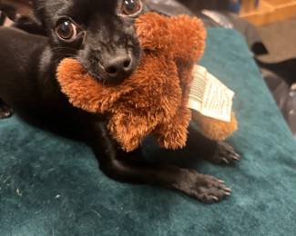 Lodi wants to see all the nice people. :)