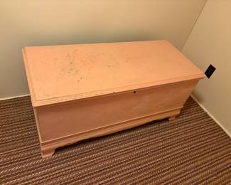 CEDAR TRUNK