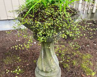 Planted concrete bird bath/sundial