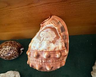 Cameo carving on shell is 5” x 4” x 4”