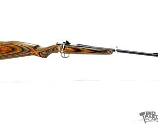 802  Rogue Rifle Co. Chipmunk .22 sllr Bolt Action Rifle 