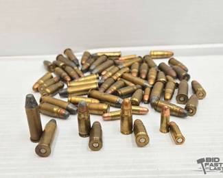 1418  64 Mixed Rounds of Ammo 