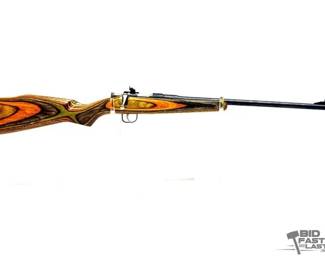 800  Rogue Rifle Co. Chipmunk .22 sllr Bolt Action Rifle 