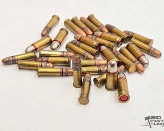 1340  30 Rounds of .22Lr  25 ACP Ammo 