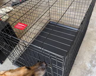 Dog crate with resident poochie