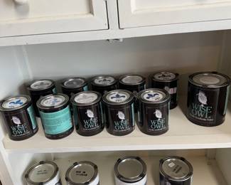 Wise Owl unopened paints