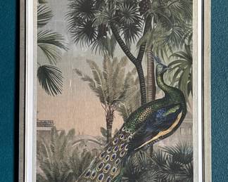 Framed Peacock in Natural Setting