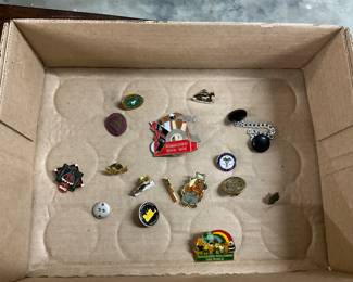 Assorted Tac / Hat Pins