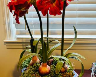 Lots of artificial flowers