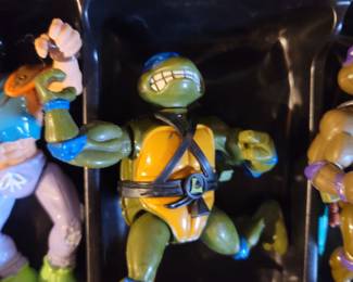 Teenage Mutant Ninja Turtles