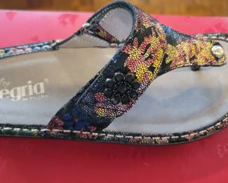 Alegria shoes