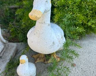 quack quack