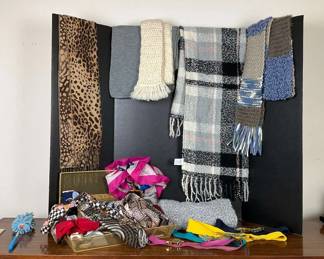 Collection Of Scarfs, Throws, Belt,shawl 