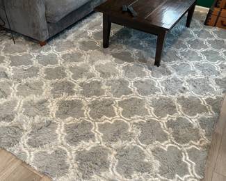 Area rug , coffee table 