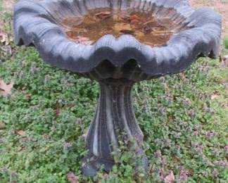 Bird Bath