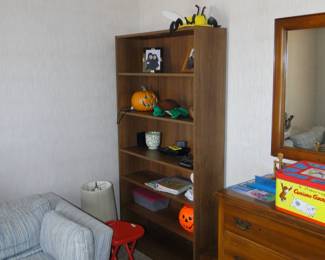 Tall bookcase
