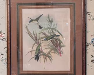Hummingbird Litho with gorgeous birds eye maple frame