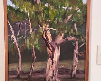 Sycamores in Forest Park by Lew Thomas....