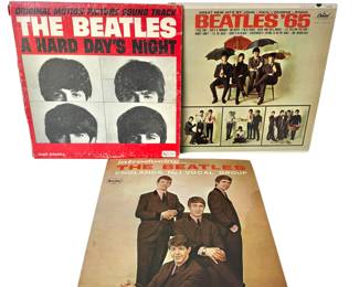 Beetles Records