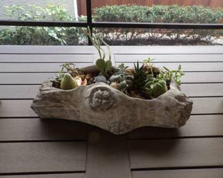 Cement planter with succulents
