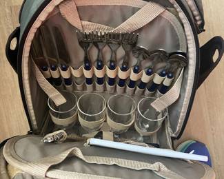 REI picnic backpack 